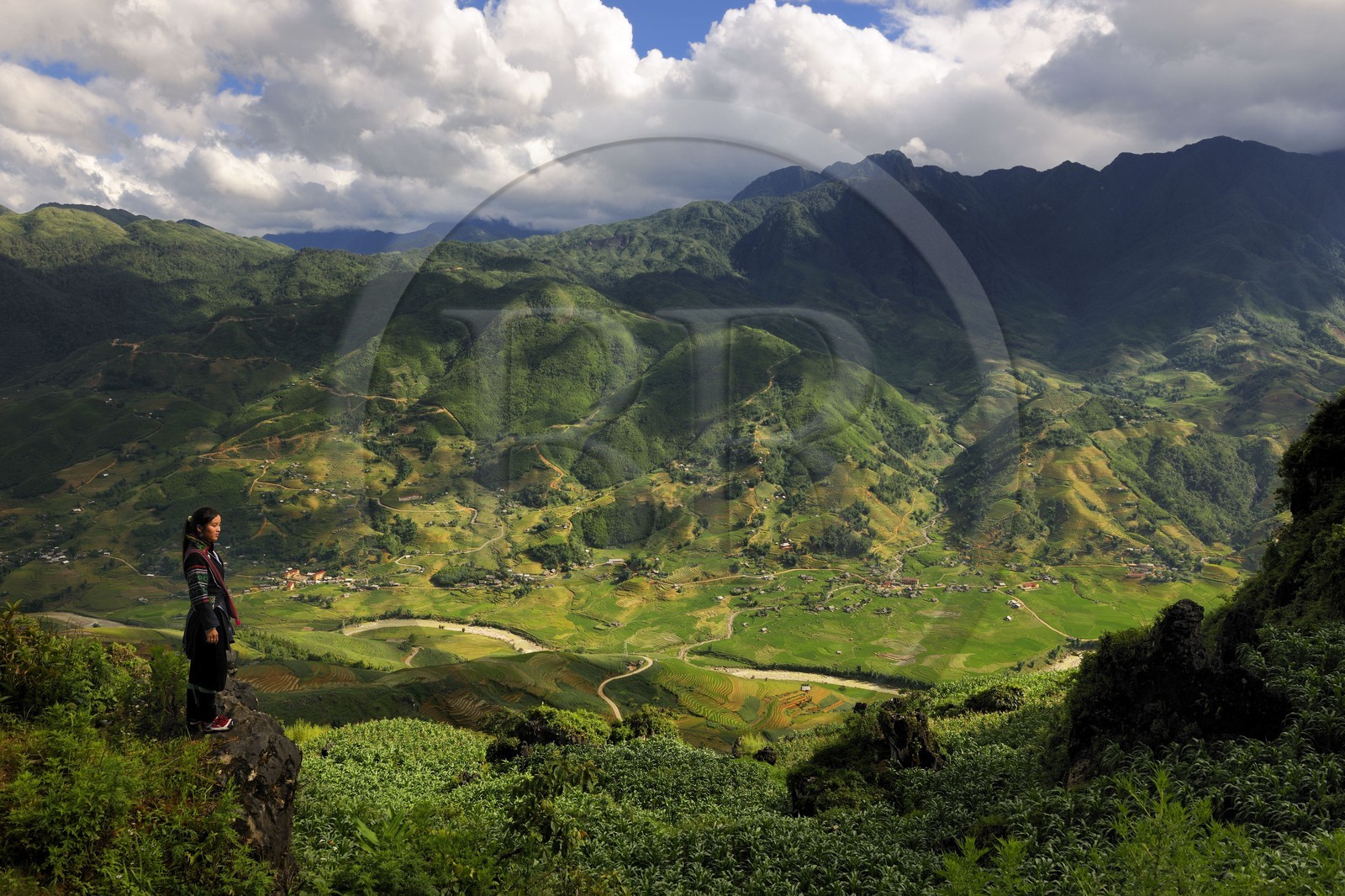 Vietnam, province de Lao Cai, région de Sapa, jeune femme de la minorité Hmong Noir surplombant sa vallée de Hau Thao