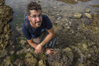 France, Charente-Maritime (17), Ile d'Oléron, Saint-Georges-d'Oléron, sur l’estran de la plage des Sables Vignier à marée basse, Zacharie Gaudin chercheur en physiologie végétale et animateur nature à IODDE
