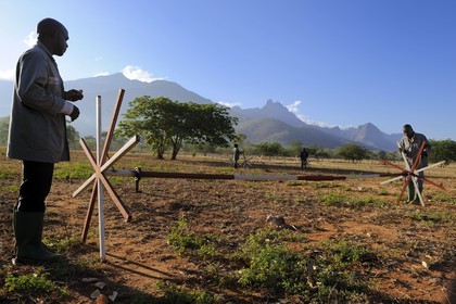 Tanzania, university of Morogoro, the Apopo detection rat technology for mines, rat trainig for detection of TNT on the field