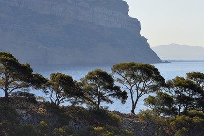 France, Bouches du Rhone, Cassis, National Park of the Calanques, Calanque de Port Miou (cove), Cacau Point and the cliffs of Cap Canaille in the background (request for authorization necessary before publication)