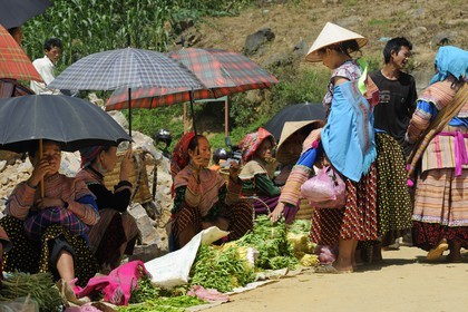 Vietnam, Lao Cai province, Bac Ha district, Can Cau market, women from the Flower Hmong minority