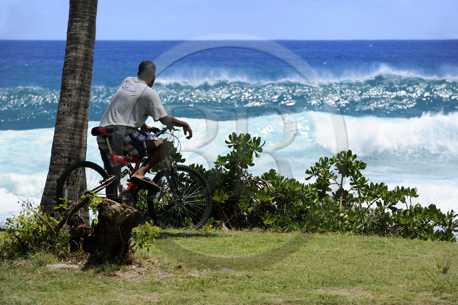 France, île de la Réunion, la côte sud, plage de Grand-Anse