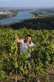 France, Loire (42), Parc Naturel Régional du Pilat, le domaine du Monteillet Stéphane Montez, Stéphane Montez dans ses vignes surplombant le Rhône