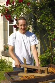 France, Indre et Loire, Rivarennes, poires tapees (local and traditional dryed pears on wood stove) by Christine and Yves Herin