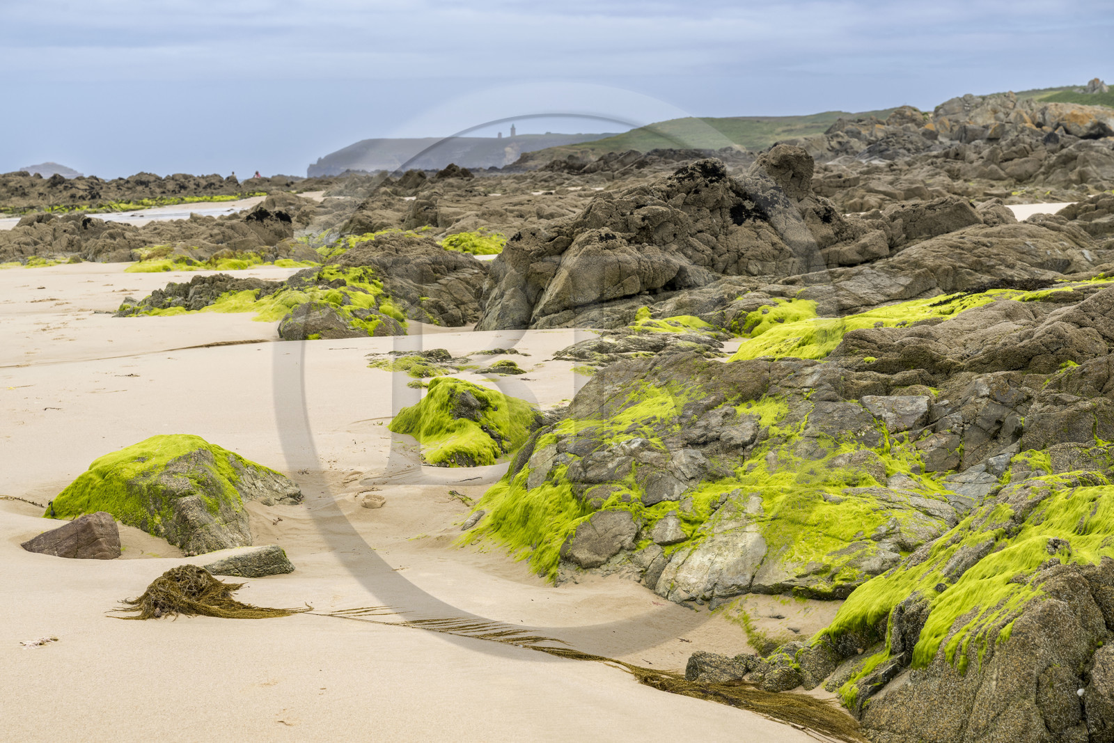 France, Cotes d'Armor, Grand Site de France Cap d'Erquy – Cap Frehel, Frehel, the Anse du Croc beach and the Cap Fréhel lighthouse in the background