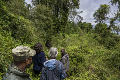Rwanda, Province du Nord, Parc National des Volcans dans la chaine des Monts Virunga, mont Karisimbi, garde et pisteur du Parc accompagnant des touristes à la rencontre des gorilles des montagnes du groupe Susa