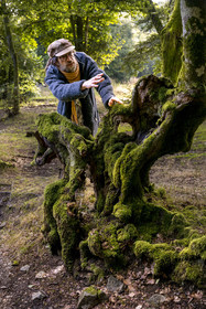 France, Saône-et-Loire (71), parc naturel régional du Morvan, Saint-Léger-sous-Beuvray, oppidum de Bibracte, le site archéologique sur le mont Beuvray, haies de hêtres tressées vieilles de 200 ans appelées des queules le long des chemins creux, avec le guide géologue et biologiste Frédéric Bensaad