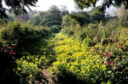 France, Eure, Giverny, Claude Monet Foundation garden