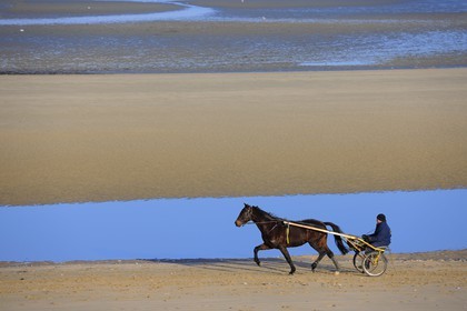 France, Manche, Cotentin, Sainte Marie du Mont, Utah Beach where took place the main American landing of D day, trotting carriages on the beach at low tide