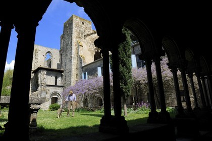 France, Aude, Saint-Martin-le-Vieil, the former Cistercian abbey of Villelongue and guesthouse, the former abbey church from the cloister