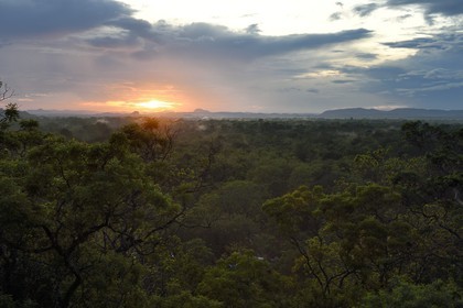 Sri Lanka, province centrale, district de Matale, Sigiriya, ville ancienne de Sigiriya classée patrimoine mondial de l'UNESCO, vue sur le paysage environnant