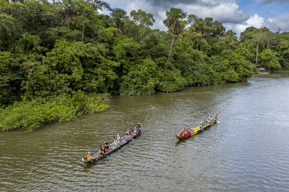 France, Guyane, Kourou, Camp Maripas, course de deux pirogues P12 (pirogue traditionnelle Guyanaise adaptée en résine) sur le fleuve Kourou (vue aérienne)