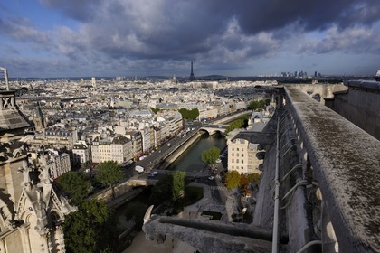 France, Paris (75), les rives de la Seine classées Patrimoine Mondial de l'UNESCO, île de la Cité, la cathédrale Notre-Dame depuis la tour nord