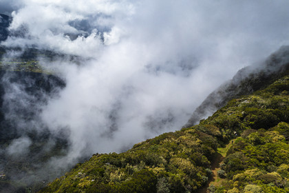 France, Ile de la Reunion, Parc National de la Réunion classé Patrimoine Mondial de l'UNESCO, volcan du Piton de la Fournaise, Foret des Hauts de Mont-Vert au dessus de la vallée de la Rivière des Remparts (vue aérienne)