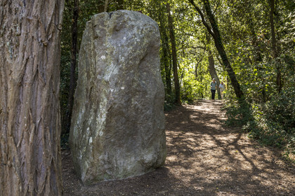 France, Loire-Atlantique (44), Saint-Brévin-Les-Pins, forêt de la Pierre Attelée, menhir de la Pierre Attelée