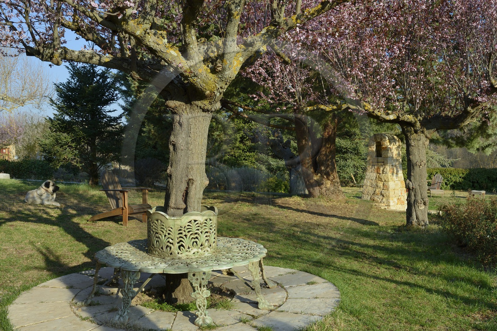France, Var, Provence Verte (Green Provence), Bras village next to Saint Maximin, Le Peyrourier Bed & Breakfast, une campagne en Provence