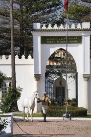 Morocco, Meknes Tafilalet Region, Royal Stud farm of Meknes