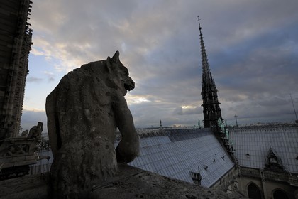 France, Paris (75), île de la Cité, la cathédrale Notre-Dame, les chimères observent la ville