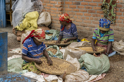 Rwanda, Province du Nord, Musanze (anciennement nommée Ruhengeri), le marché central, femmes décortiquant et vendant les arachides