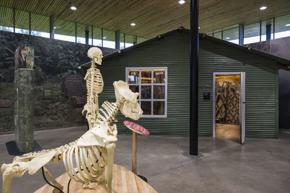 Rwanda, Province du Nord, District de Musanze (Ruhengeri), Kinigi, Campus Ellen DeGeneres du Dian Fossey Gorilla Fund, le Cindy Broder Conservation Gallery avec une exposition éducative immersive, reconstitution de la cabane de Dian Fossey à Karisoke