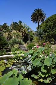 France, Alpes-Maritimes (06), Menton, quartier de Garavan, le jardin de Maria Serena, le bassin de la Fontaine au Dragon (ancienne fontaine japonaise qui a appartenue à un shogun)