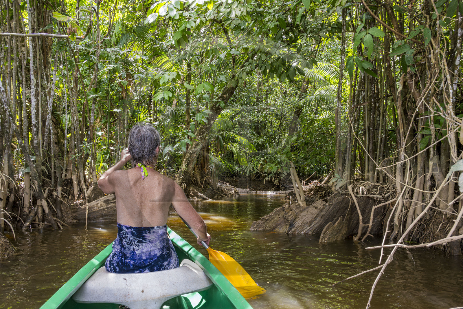 France, Guyane, Kourou, camp Maripas dans la forêt tropicale, découverte en canoé d'une crique, petite rivière, affluent du fleuve Kourou
