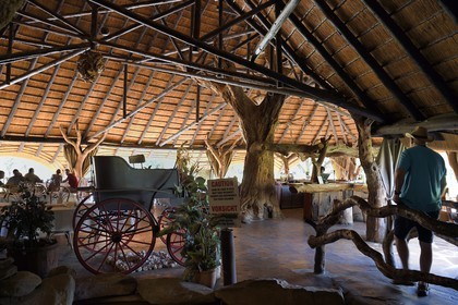 Namibie, région de Khomas, nord de Windhoek, Okapuka Ranch, le restaurant du lodge