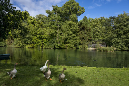 France, Côte-d'Or (21), les climats de Bourgogne classés Patrimoine Mondial de l'UNESCO, Beaune, le parc de la Bouzaize