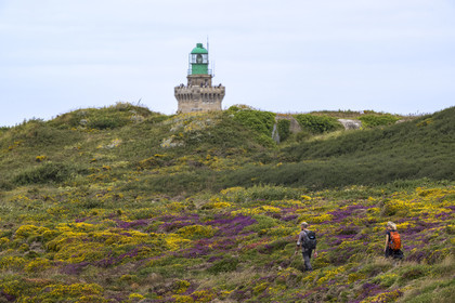 France, Côtes d'Armor (22), Grand Site de France Cap d'Erquy – Cap Fréhel, Plévenon, randonneurs sur le chemin de Grande Randonnée GR34 et le phare du Cap Fréhel en arrière plan