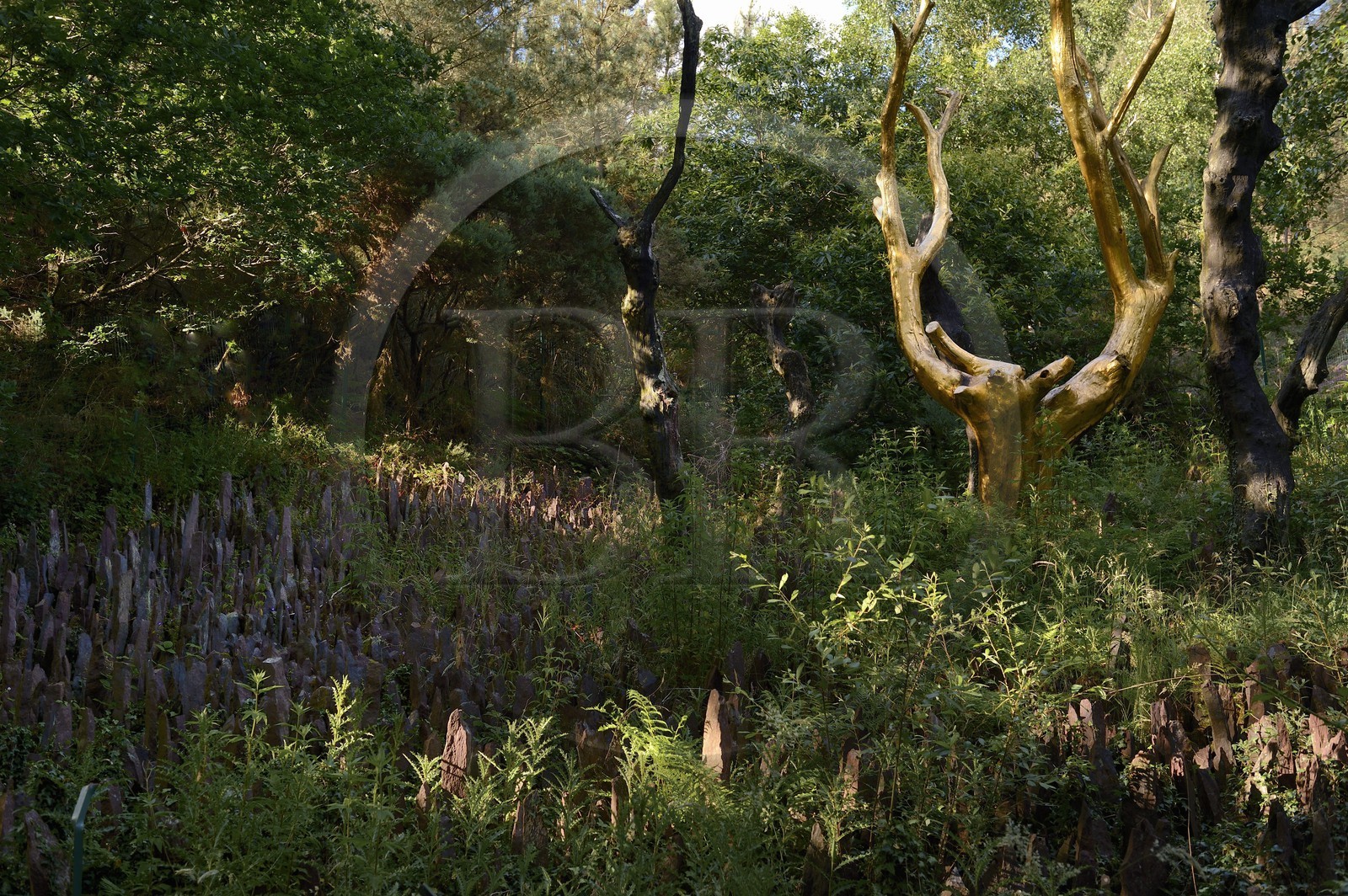 France, Morbihan (56), forêt de Brocéliande, Tréhorenteuc, sculpture L'Arbre d'Or de l'artiste François Davin dans le Val sans retour France, Morbihan (56), forêt de Brocéliande, Tréhorenteuc, sculpture L'Arbre d'Or de l'artiste François Davin dans le Val sans retour