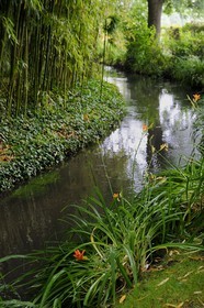 France, Eure (27), Giverny, le jardin de Claude Monet, le Jardin d'Eau