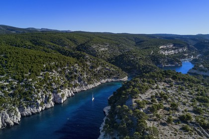 France, Bouches du Rhone, Cassis, National Park of the Calanques, Calanque de Port Pin (cove) and Calanque de Port Miou (cove) in the background (request for authorization necessary before publication)