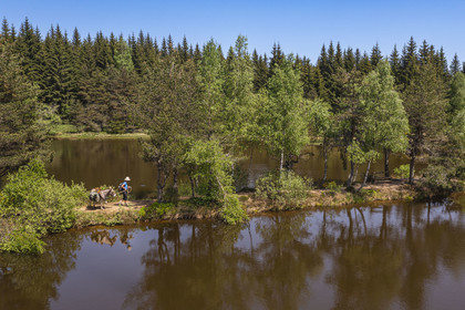 France, Lozere, Luc, hiking with a donkey on the Robert Louis Stevenson Trail (GR 70) on the edge of the Auradou pond (aerial view)