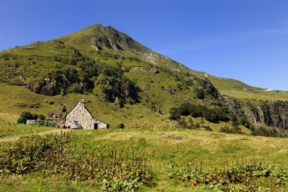 France, Cantal, France, Cantal, monts du Cantal, Parc Naturel Régional des Volcans d'Auvergne (regional nature park of Auvergne volcanoes), buron d' Eylac and Puy-Mary mount (1783m)
