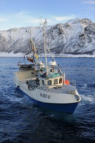 Norvège, Nordland, iles des Westeralen, région de Myre, bateau de pêche du cabillaud skrei