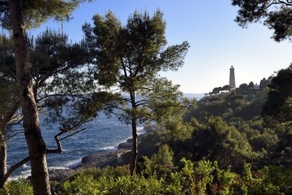France, Alpes Maritimes, Saint Jean Cap Ferrat, the lighthouse of Cap Ferrat from the gardens seen from the Grand-Hotel du Cap Ferrat gardens, a 5 star palace from Four Seasons Hotel