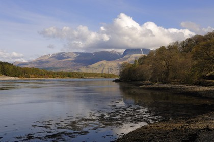 Royaume-Uni, Ecosse, région des Highlands, le Loch Eil vers Fort William et le Ben Nevis au fond