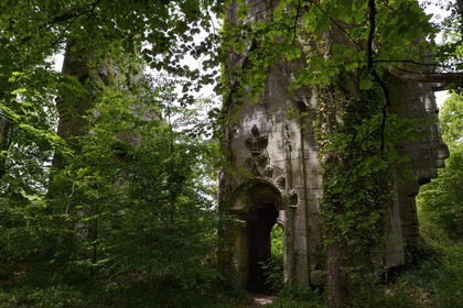 France, Finistère (29), Pont-Aven, Nizon, chateau de Rustephan, ancien manoir du XVe et du XVIe siècle en ruine