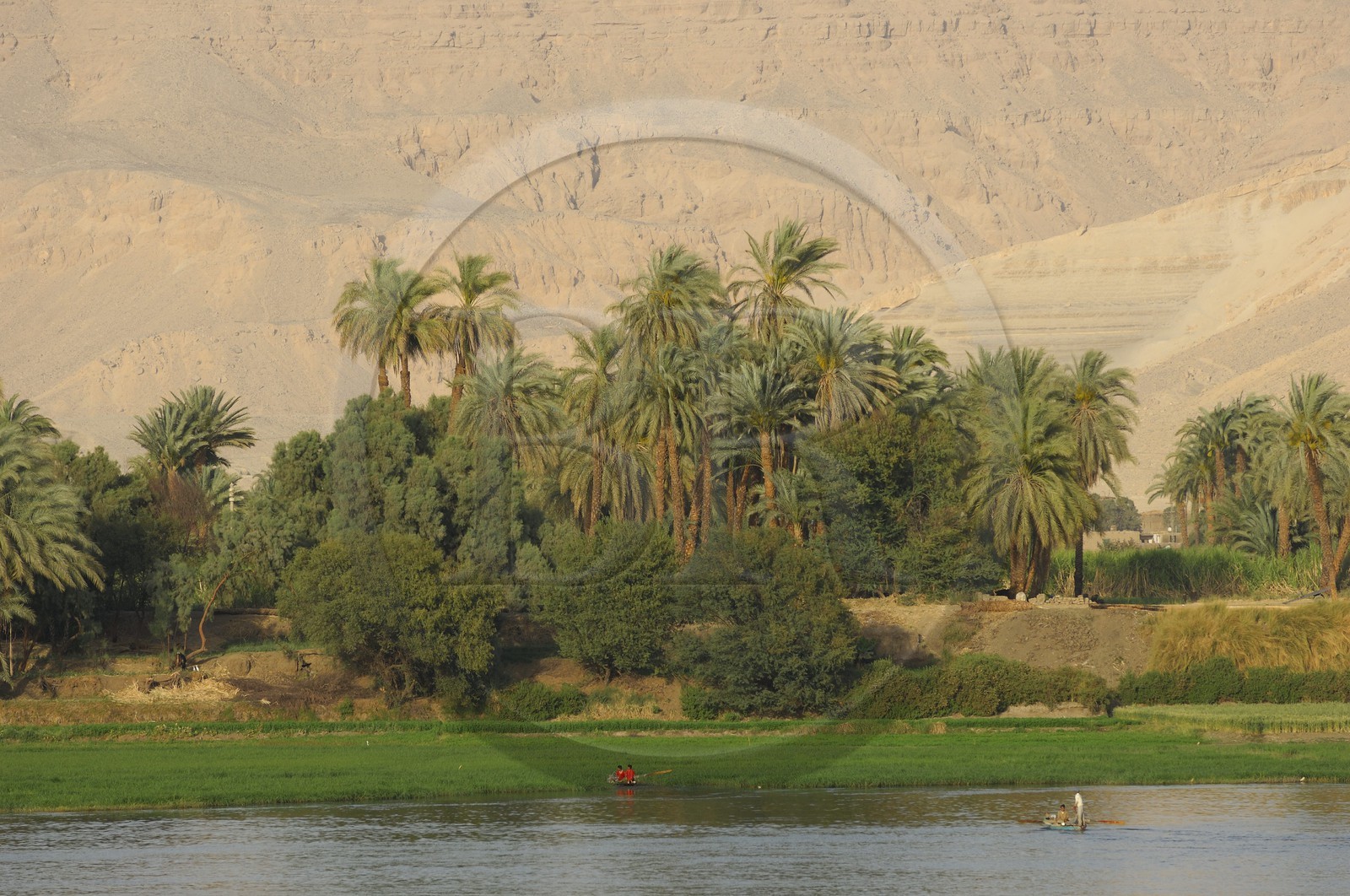 Egypte, Haute Egypte, vallée du Nil, le Nil entre Louxor et Esna