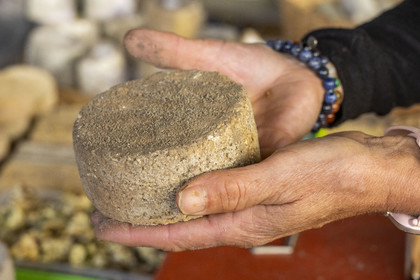 France, Lozere, Langogne, the market under the Halle aux grains, organic farmhouse cheeses made with raw milk Lou Prat d'Estébé by Cathy and Michel Dupire, Artisous cheese, mites developing on the crust and participating in ripening