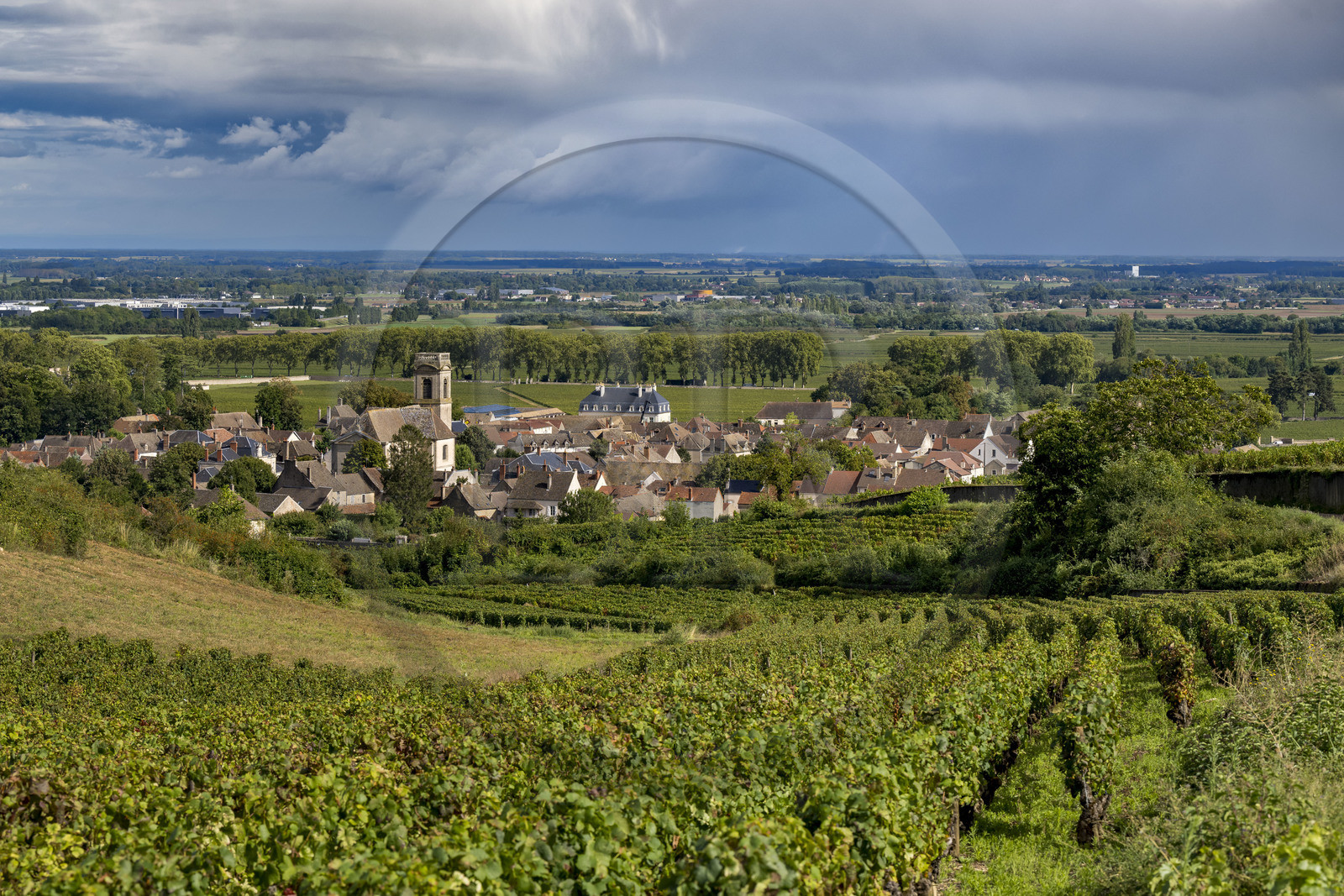 France, Côte-d'Or (21), les climats de Bourgogne classés Patrimoine Mondial de l'UNESCO, Route des Grands Crus, vignoble de la Côte de Beaune, le village de Pommard entouré de vignes