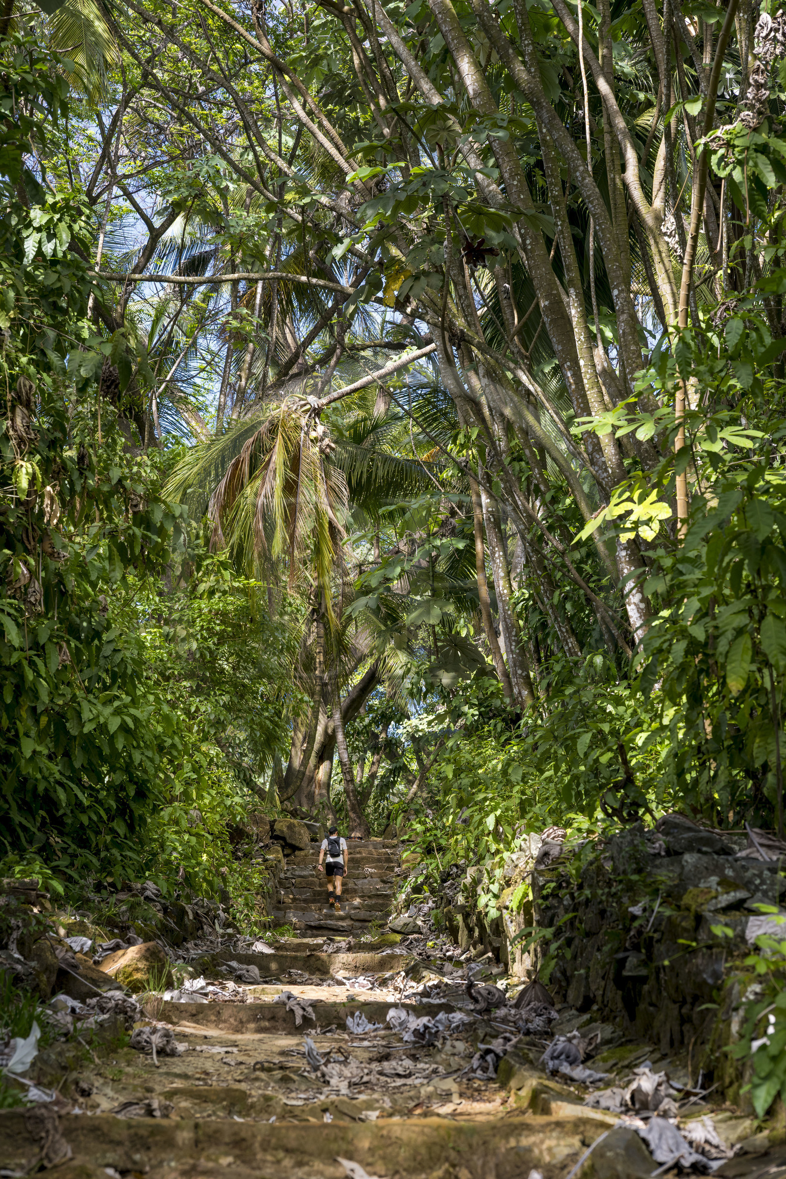 France, Guyane, Kourou, Iles du Salut, l'Ile Saint-Joseph, escalier d'accés au bagne