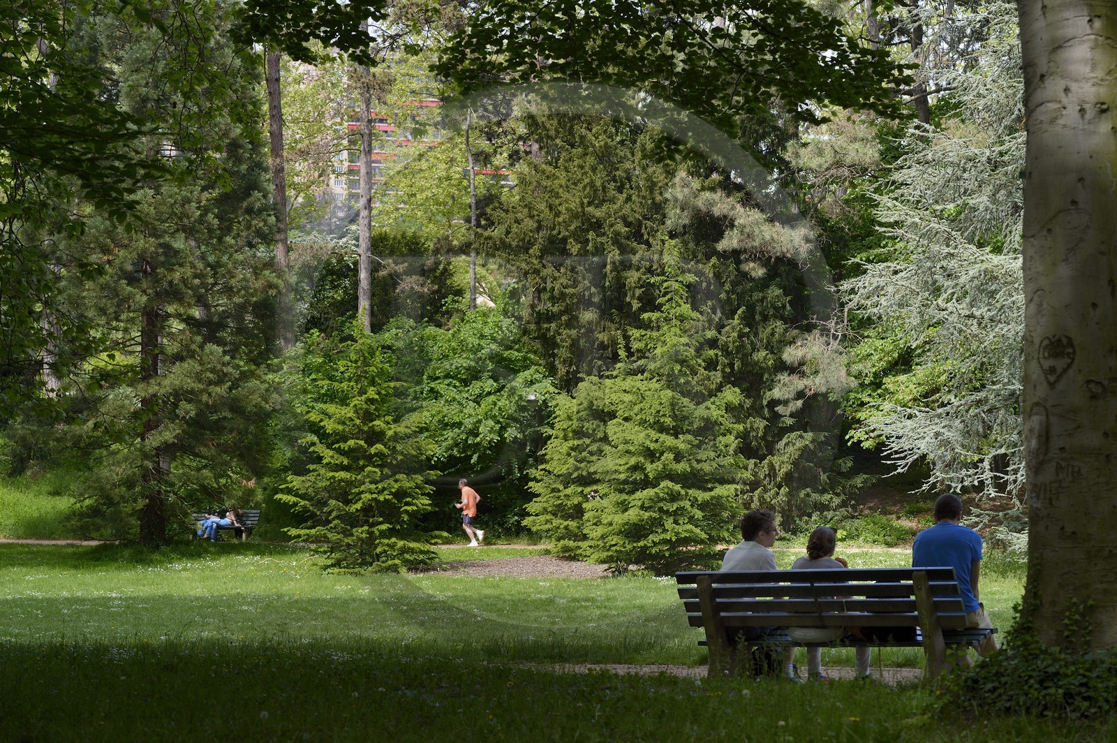 France, Rhône (69), Lyon,  le parc de la Tête d' Or