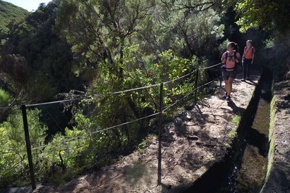 Portugal, Ile de Madère, randonnée par la levada do Alecrim dans La forêt de Rabaçal, la laurisilva, unique vestige de la forêt primaire qui recouvrait le sud de l’Europe il y a des millions d’années