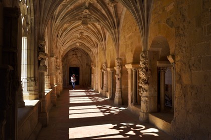 France, Dordogne,  Perigord Noir, Le Buisson de Cadouin, former cistercian abbey church, stage on the Camino de Santiago (Way of St. James) listed as World Heritage by UNESCO, the cloister of the 15th century, entrance to the chapter house right and the Royal Door in the background