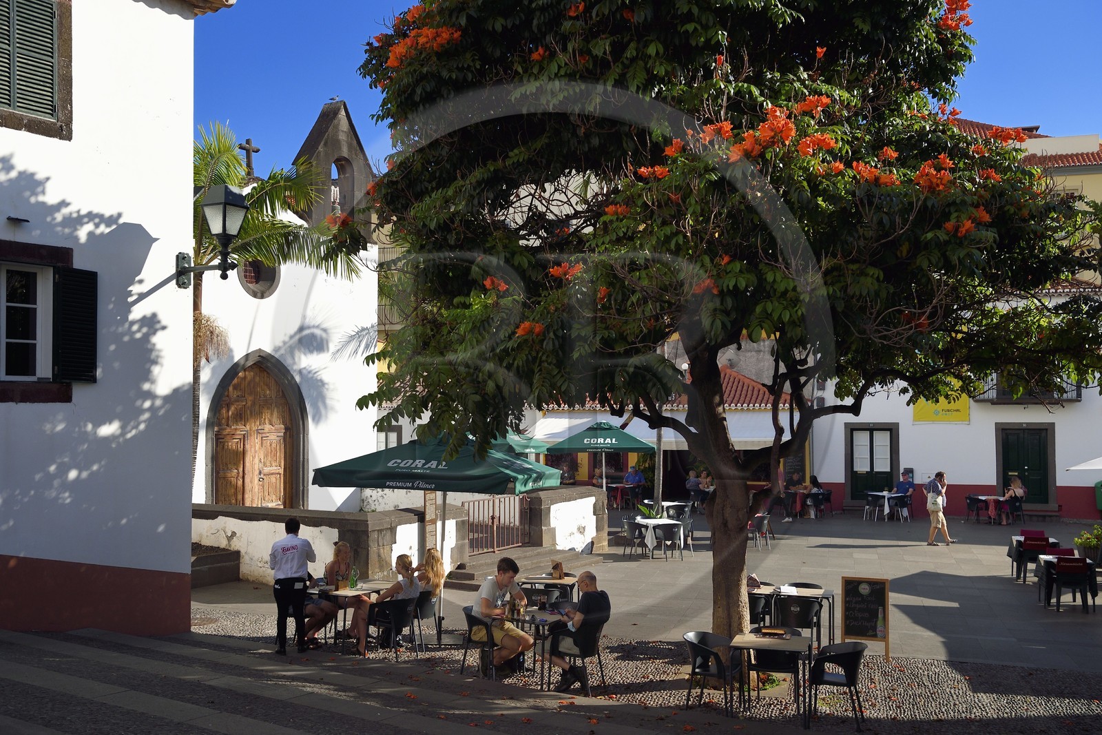 Portugal, Ile de Madère, Funchal, place Largo do Corpo Santo