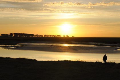 France, Manche (50), Baie du Mont-Saint-Michel, les berges submersibles de la rivière Couesnon au coucher de soleil