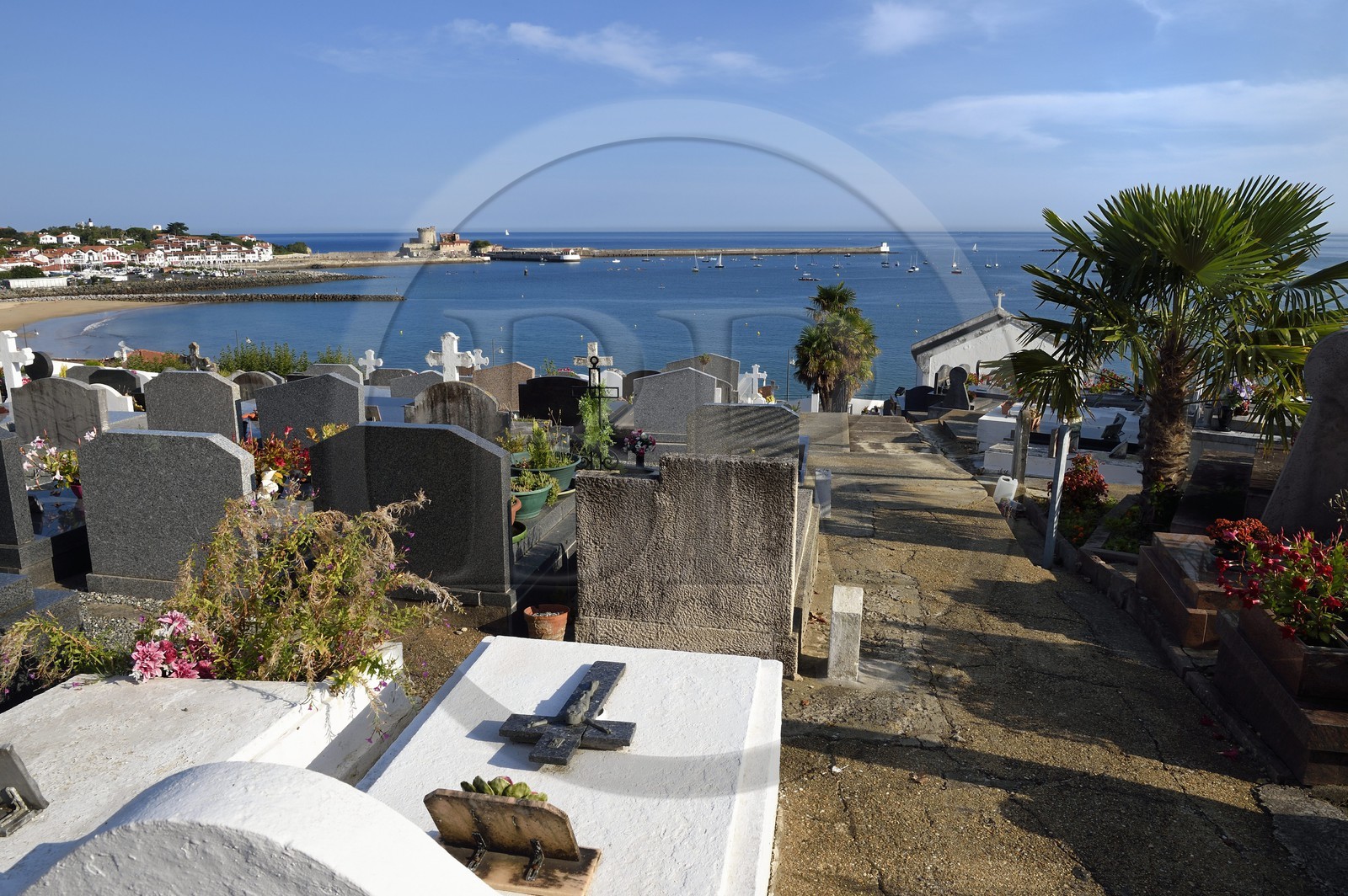 France, Pyrénées-Atlantiques (64), la côte du Pays-Basque, Ciboure, cimetière marin de Socoa et le fort de Socoa en arrière plan