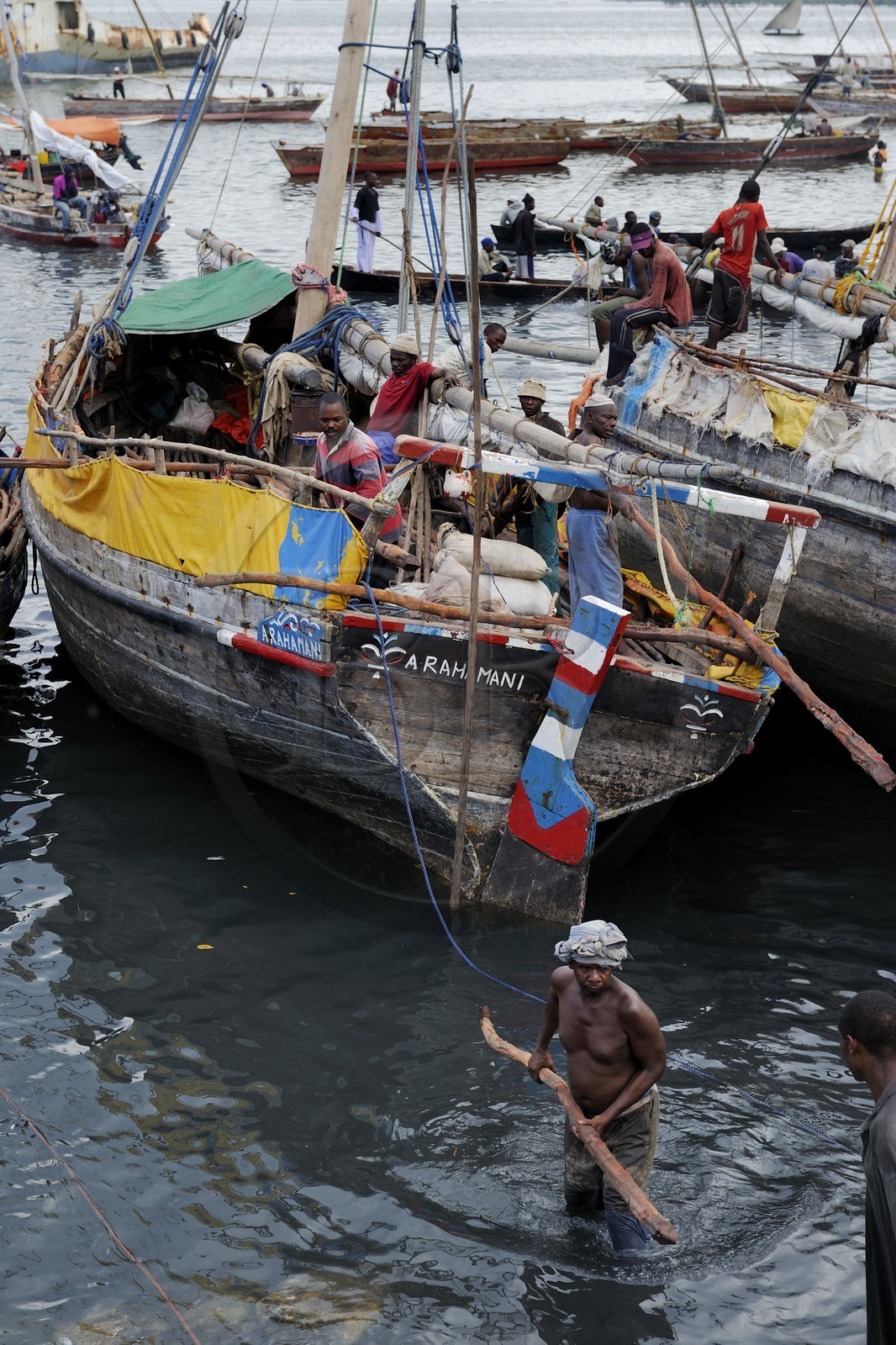 Tanzanie, archipel de Zanzibar, île de Unguja (Zanzibar), ville de Zanzibar, quartier Stone Town, classé Patrimoine Mondial de l' UNESCO, port des dhows (boutres traditionnels), déchargement de bois