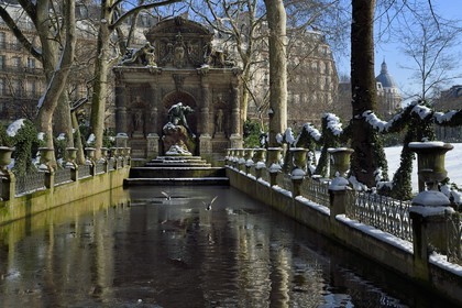 France, Paris, Saint Michel district, the Luxembourg Gardens, la fontaine Medicis (Medicis fountain)